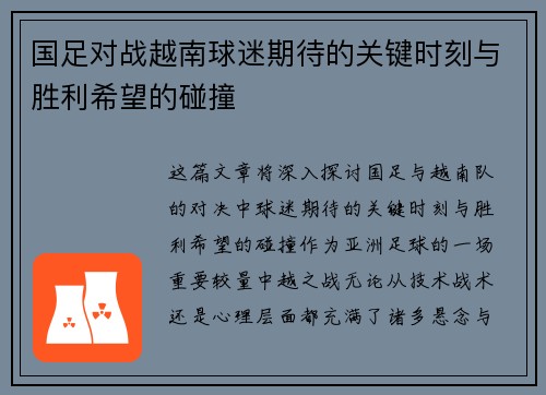 国足对战越南球迷期待的关键时刻与胜利希望的碰撞