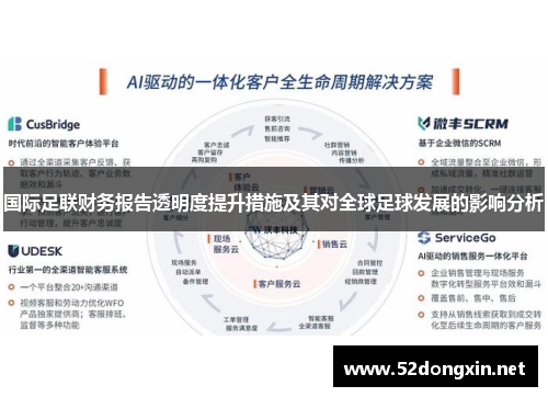 国际足联财务报告透明度提升措施及其对全球足球发展的影响分析