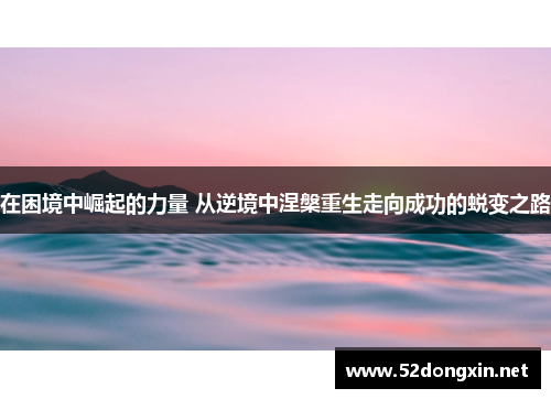 在困境中崛起的力量 从逆境中涅槃重生走向成功的蜕变之路