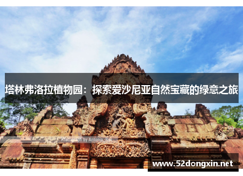 塔林弗洛拉植物园：探索爱沙尼亚自然宝藏的绿意之旅