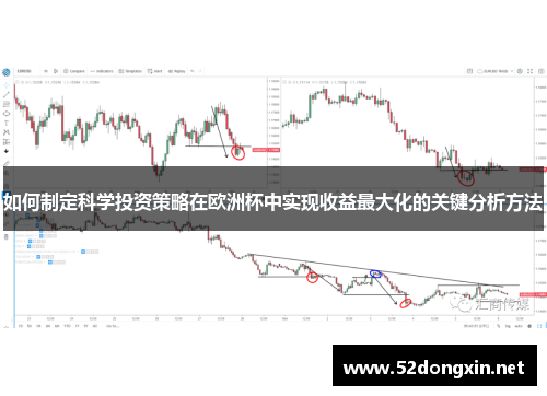 如何制定科学投资策略在欧洲杯中实现收益最大化的关键分析方法