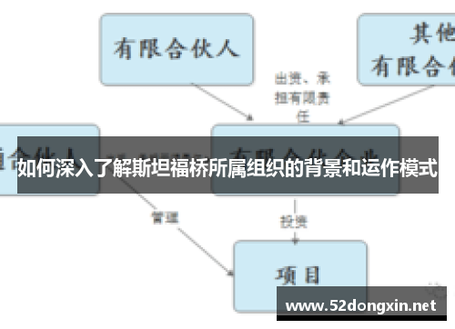 如何深入了解斯坦福桥所属组织的背景和运作模式 如何深入了解斯坦福桥所属组织的背景和运作模式