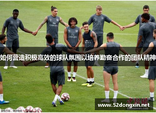 如何营造积极高效的球队氛围以培养勤奋合作的团队精神