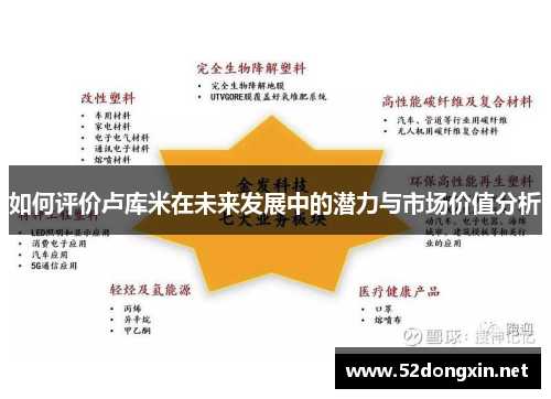 如何评价卢库米在未来发展中的潜力与市场价值分析