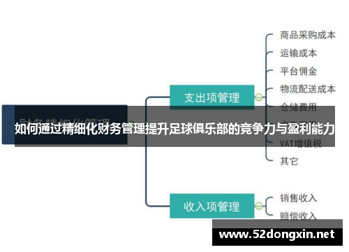 如何通过精细化财务管理提升足球俱乐部的竞争力与盈利能力